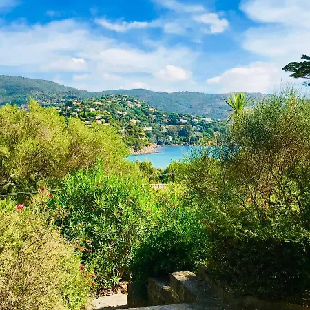 Mazet « Domaine De La Pinede » Le Lavandou