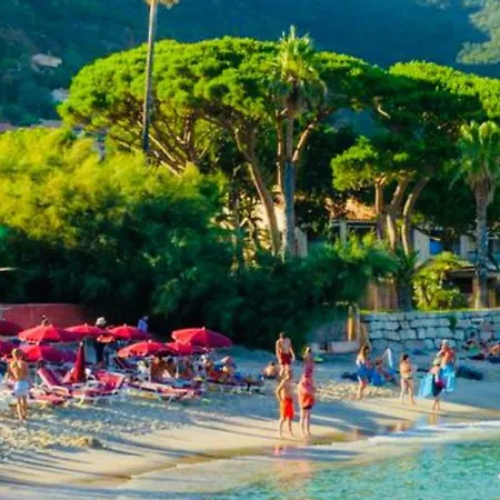 Mazet « Domaine De La Pinede » Le Lavandou