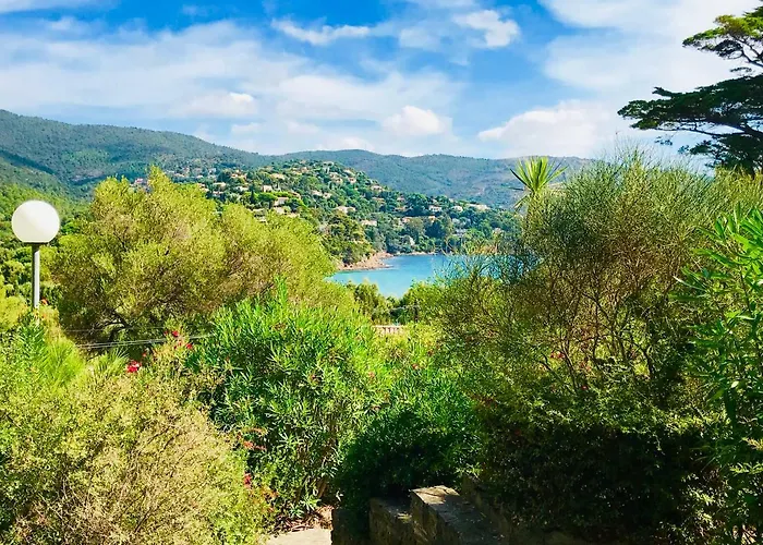 Mazet « Domaine De La Pinede » Ле-Лаванду