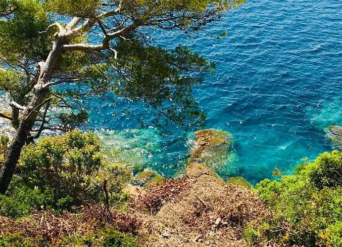 Mazet « Domaine De La Pinede »