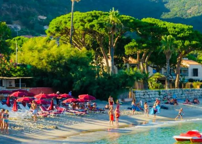 Mazet « Domaine De La Pinede » Le Lavandou